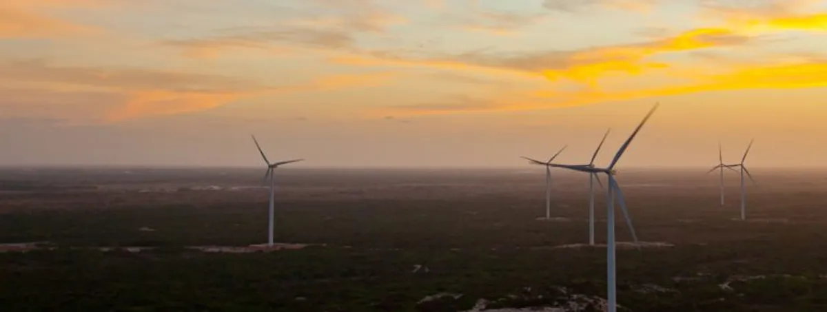 Serena Energia e Harbor IT: gerando conexão e automação no setor de energias renováveis