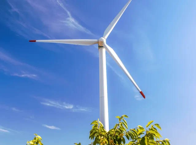 Omega Energia Case Study